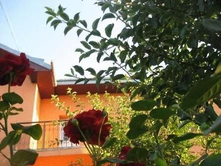 Lary Hostel Suceava Exterior foto